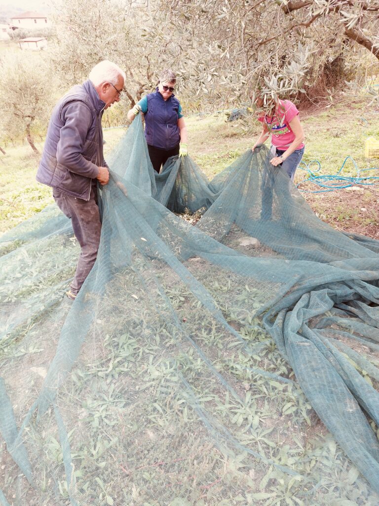 olive nets filter for olive oil processing